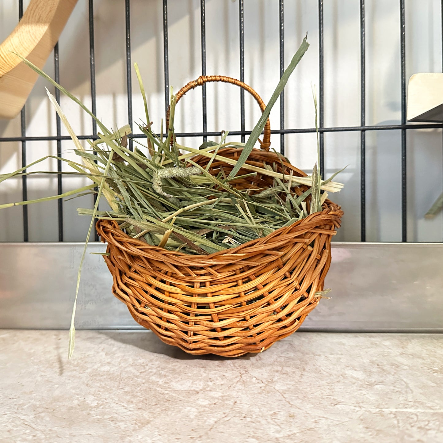 Forage Basket