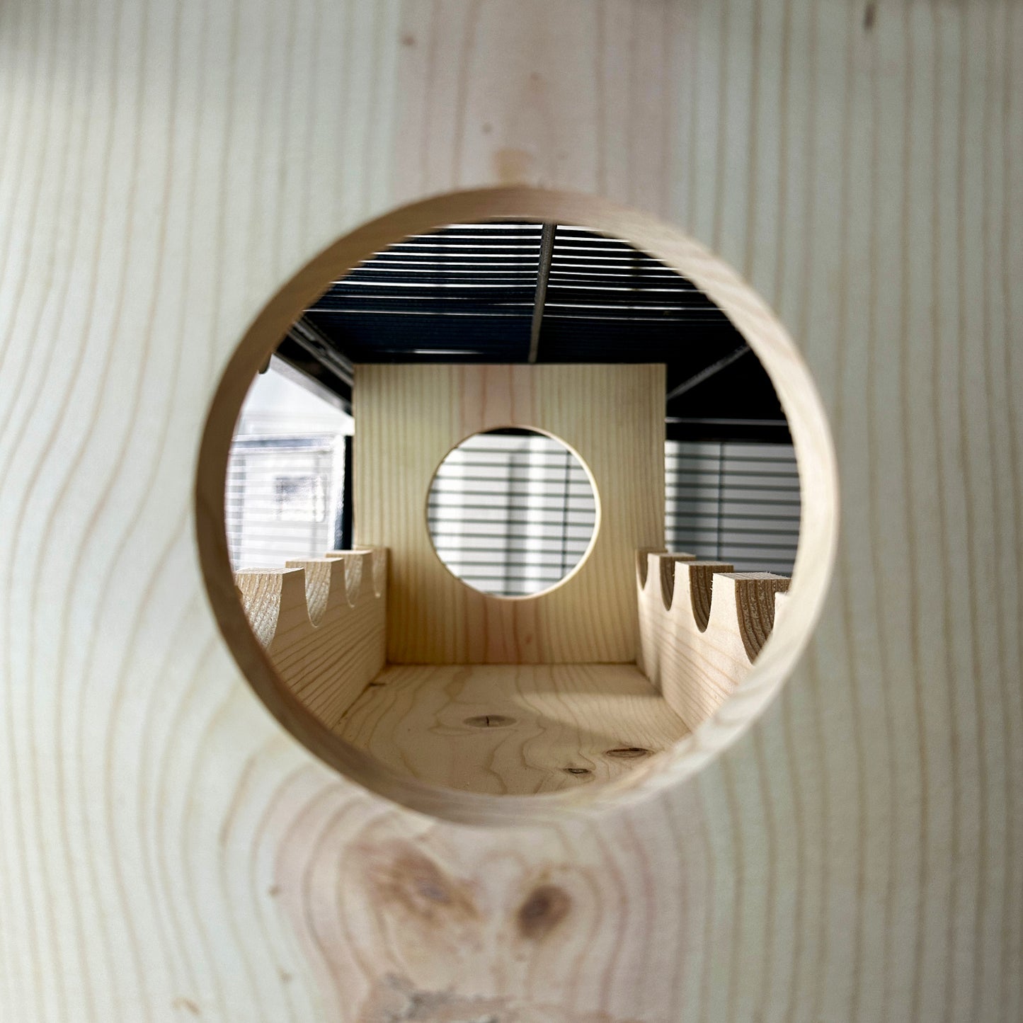 Whisker Watchtower