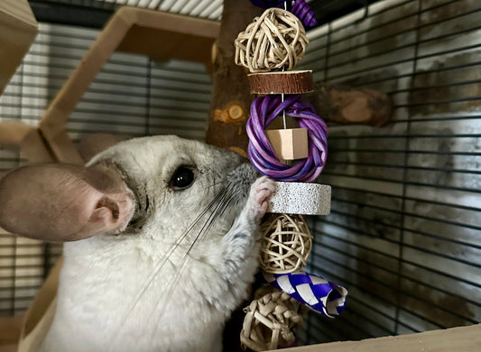 Chewing, Gnawing, Shredding - Oh My!
