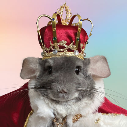 2026 Calendar (PREORDER)