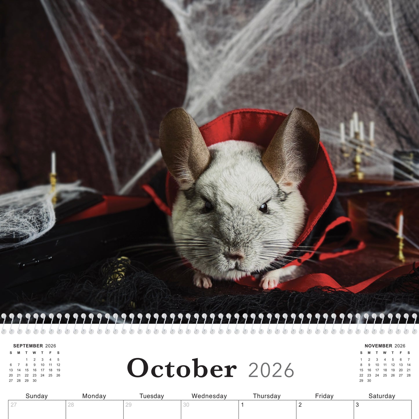 2026 Calendar (PREORDER)