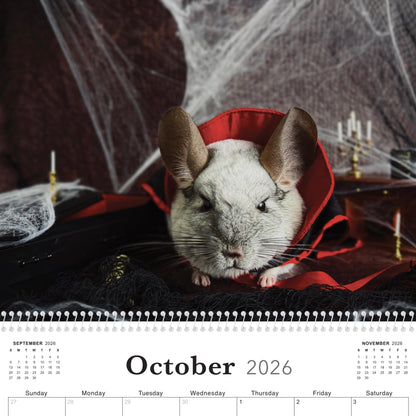 2026 Calendar (PREORDER)