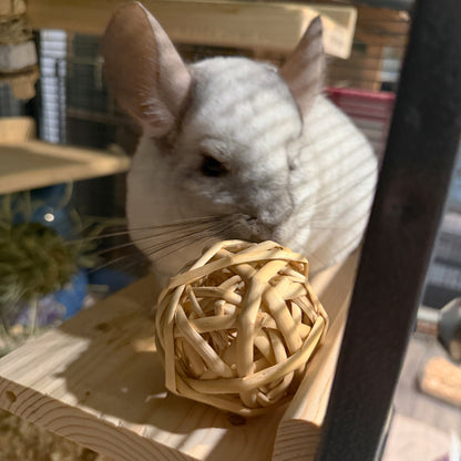 ChewaBalls (SM)