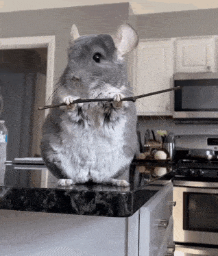 Apple Sticks