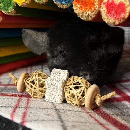 Lil' Pumice Tosser