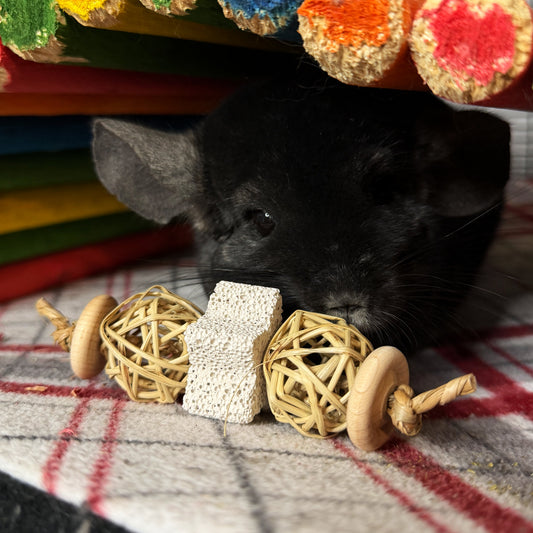 Lil' Pumice Tosser